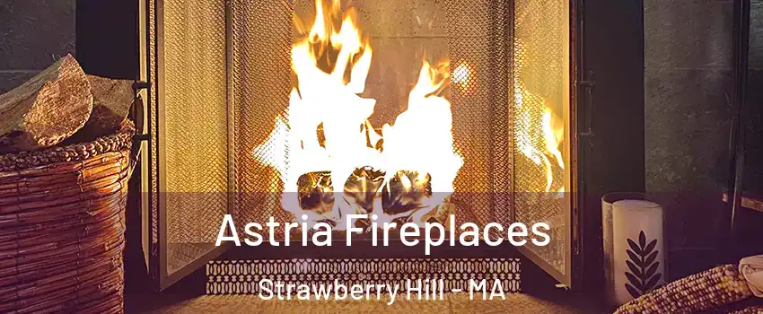 Astria Fireplaces Strawberry Hill - MA