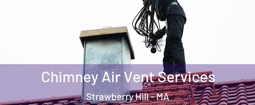 Chimney Air Vent Services Strawberry Hill - MA