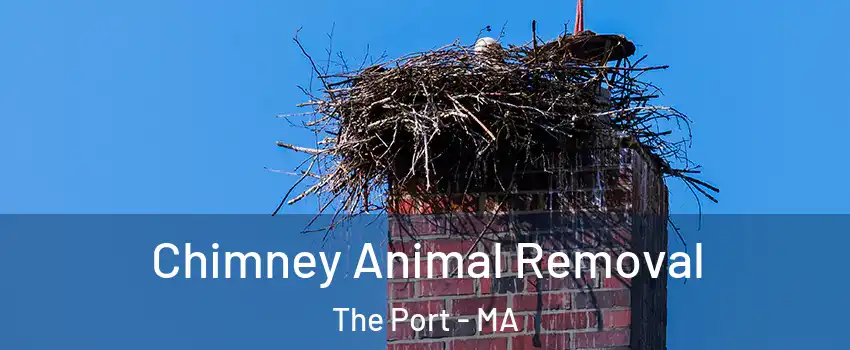 Chimney Animal Removal The Port - MA