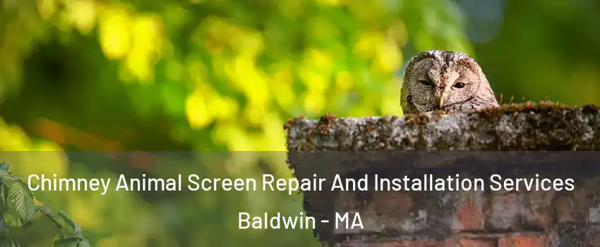 Chimney Animal Screen Repair And Installation Services Baldwin - MA