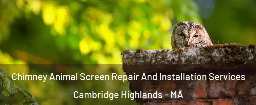 Chimney Animal Screen Repair And Installation Services Cambridge Highlands - MA