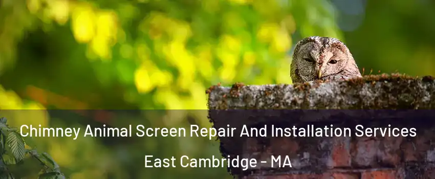 Chimney Animal Screen Repair And Installation Services East Cambridge - MA