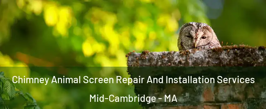 Chimney Animal Screen Repair And Installation Services Mid-Cambridge - MA