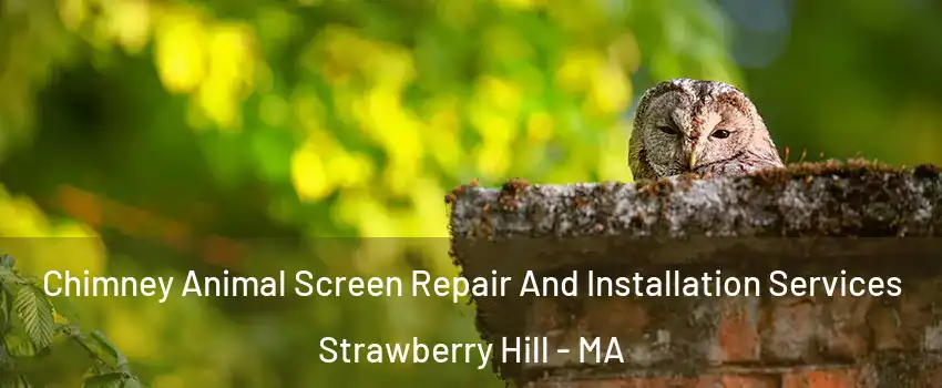 Chimney Animal Screen Repair And Installation Services Strawberry Hill - MA