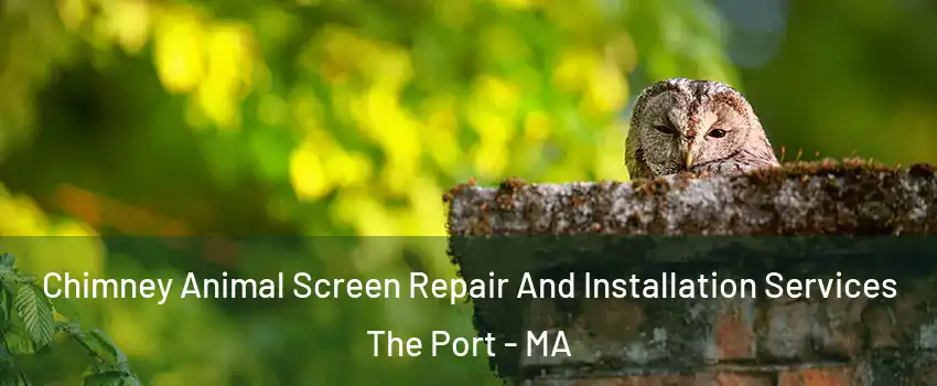 Chimney Animal Screen Repair And Installation Services The Port - MA