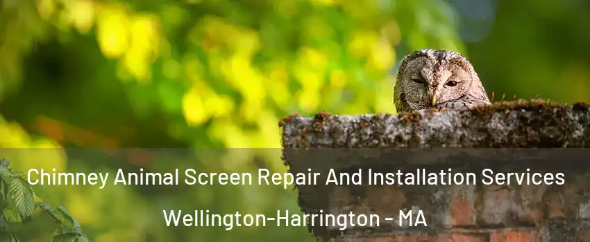 Chimney Animal Screen Repair And Installation Services Wellington-Harrington - MA