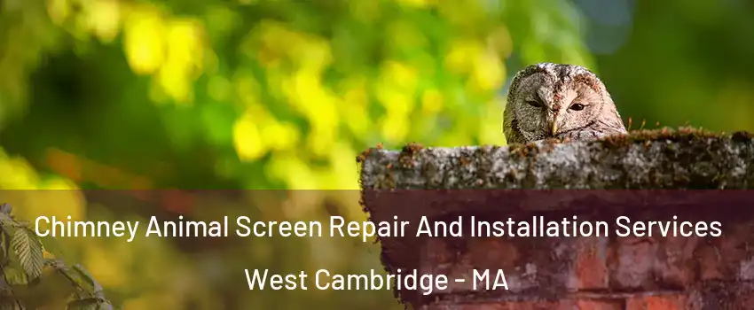 Chimney Animal Screen Repair And Installation Services West Cambridge - MA