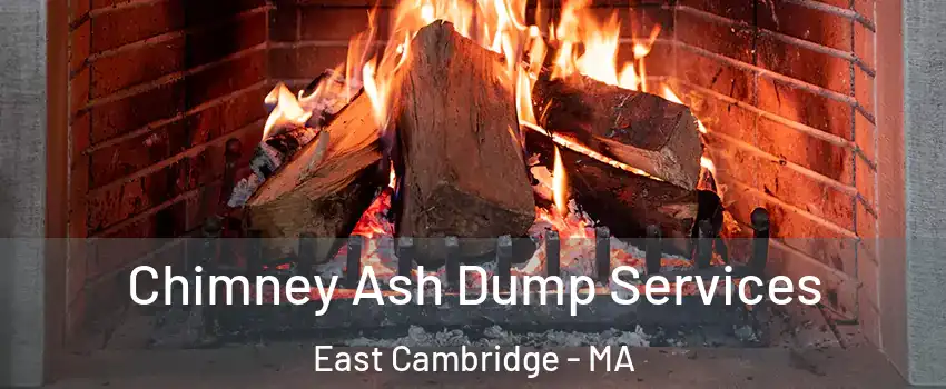 Chimney Ash Dump Services East Cambridge - MA