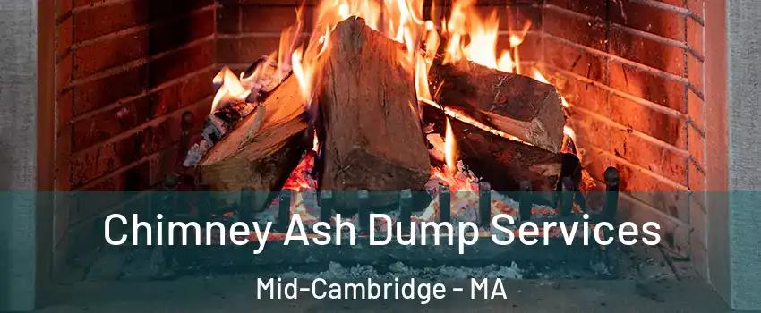 Chimney Ash Dump Services Mid-Cambridge - MA