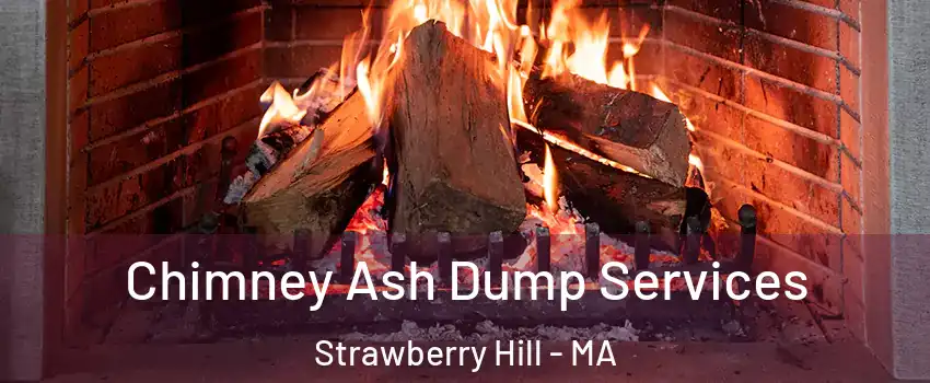 Chimney Ash Dump Services Strawberry Hill - MA