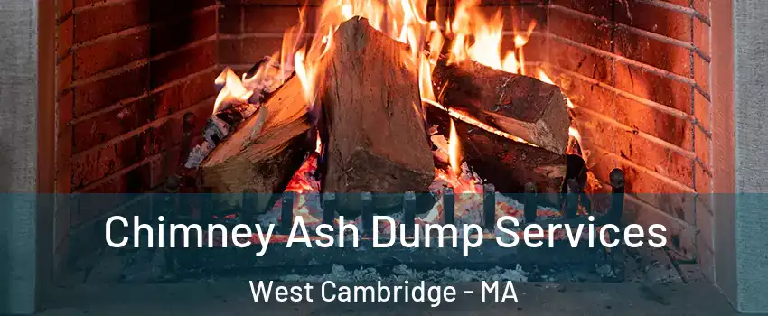 Chimney Ash Dump Services West Cambridge - MA