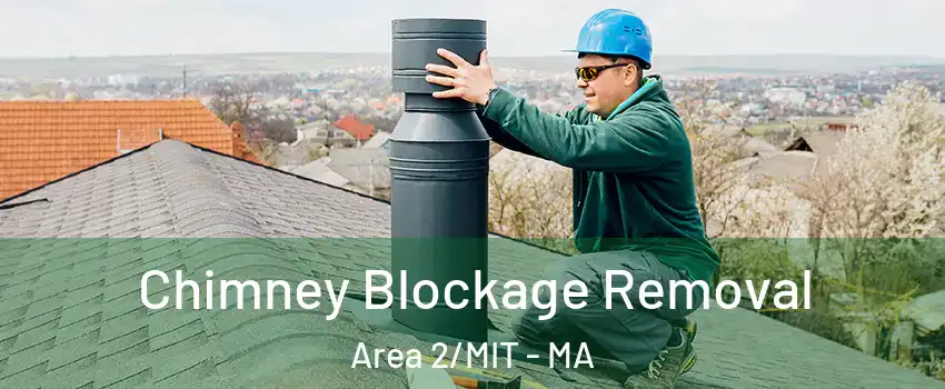 Chimney Blockage Removal Area 2/MIT - MA