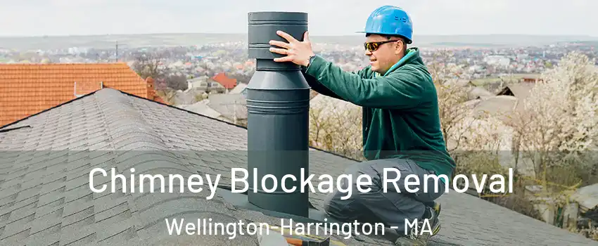 Chimney Blockage Removal Wellington-Harrington - MA