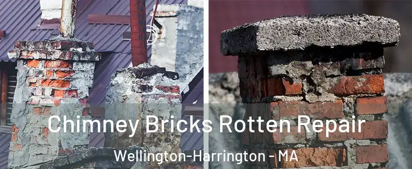 Chimney Bricks Rotten Repair Wellington-Harrington - MA