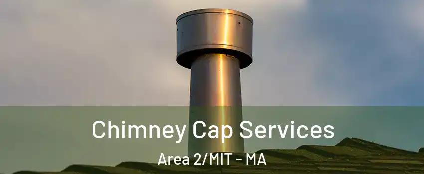 Chimney Cap Services Area 2/MIT - MA