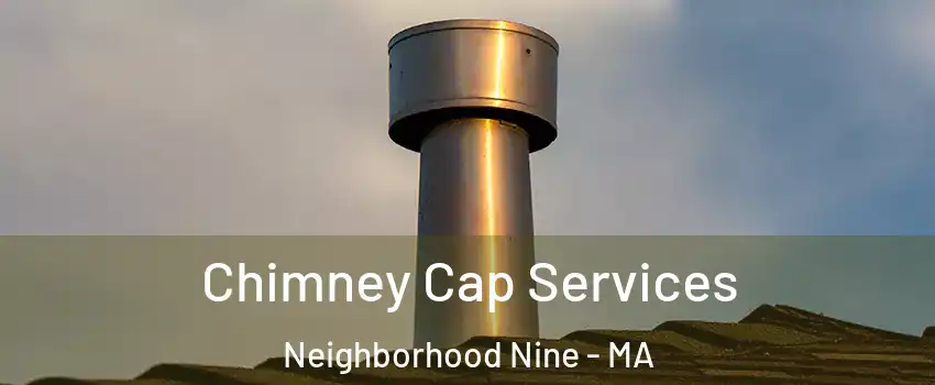 Chimney Cap Services Neighborhood Nine - MA