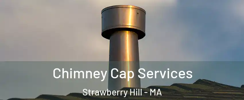 Chimney Cap Services Strawberry Hill - MA