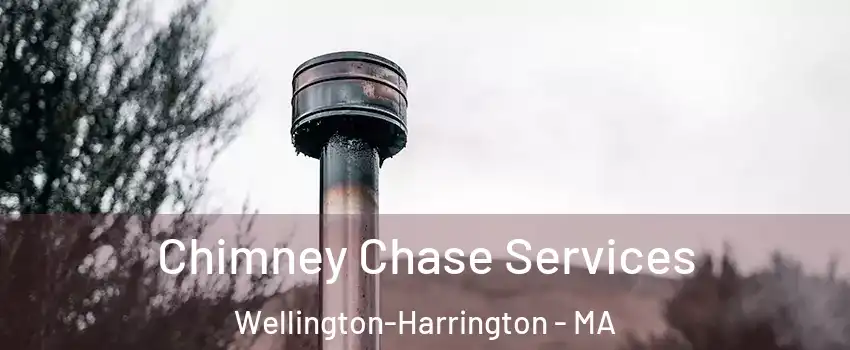 Chimney Chase Services Wellington-Harrington - MA