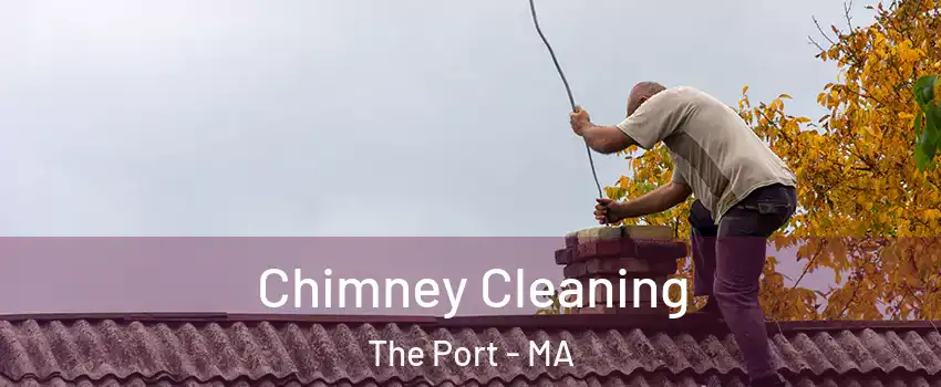 Chimney Cleaning The Port - MA