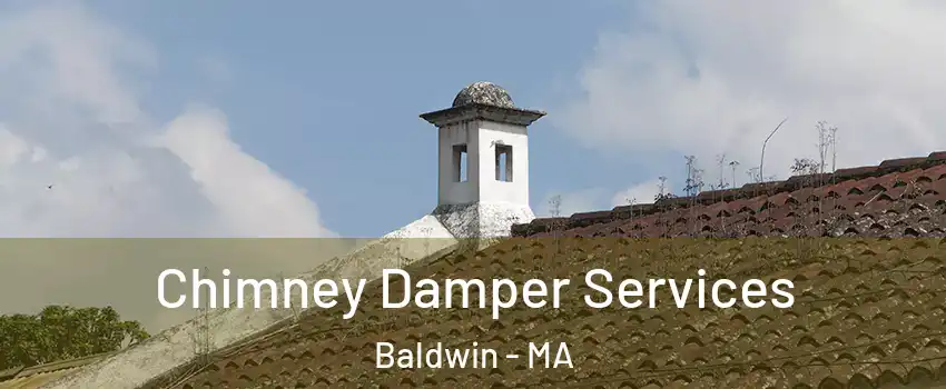 Chimney Damper Services Baldwin - MA