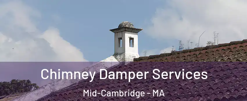 Chimney Damper Services Mid-Cambridge - MA