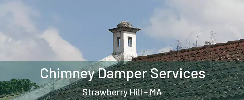 Chimney Damper Services Strawberry Hill - MA