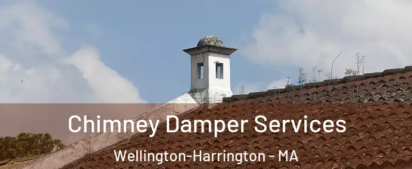 Chimney Damper Services Wellington-Harrington - MA