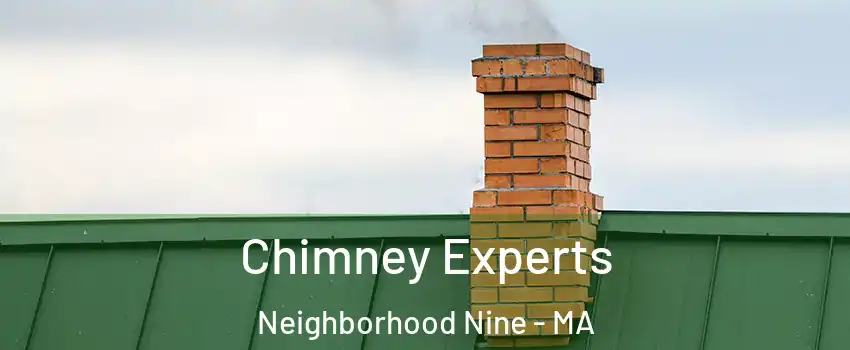 Chimney Experts Neighborhood Nine - MA