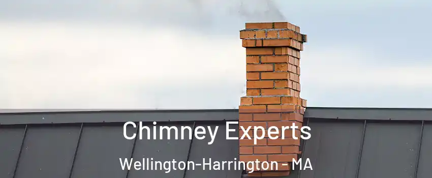 Chimney Experts Wellington-Harrington - MA