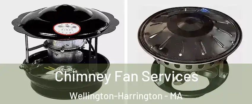 Chimney Fan Services Wellington-Harrington - MA