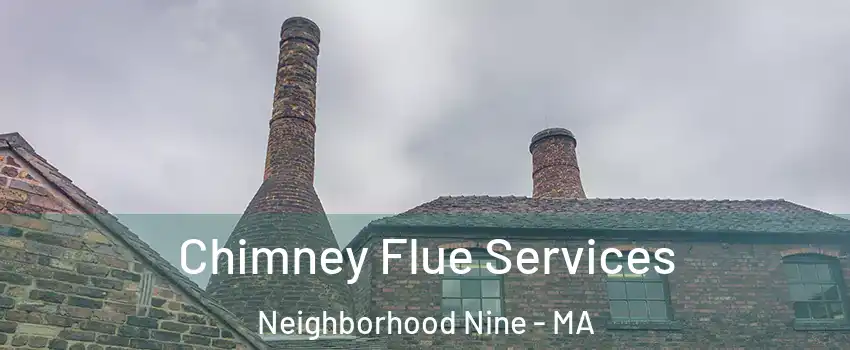 Chimney Flue Services Neighborhood Nine - MA