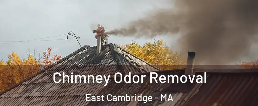 Chimney Odor Removal East Cambridge - MA