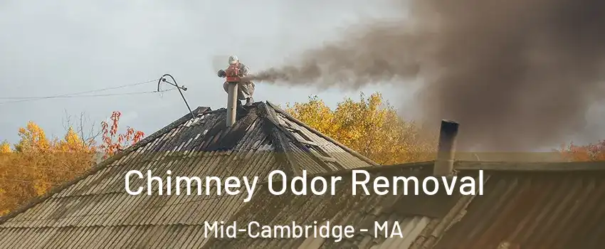 Chimney Odor Removal Mid-Cambridge - MA