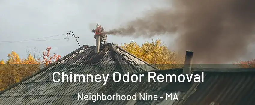 Chimney Odor Removal Neighborhood Nine - MA