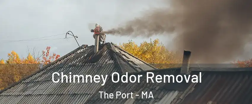 Chimney Odor Removal The Port - MA