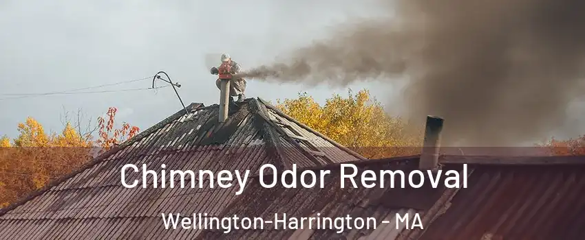 Chimney Odor Removal Wellington-Harrington - MA