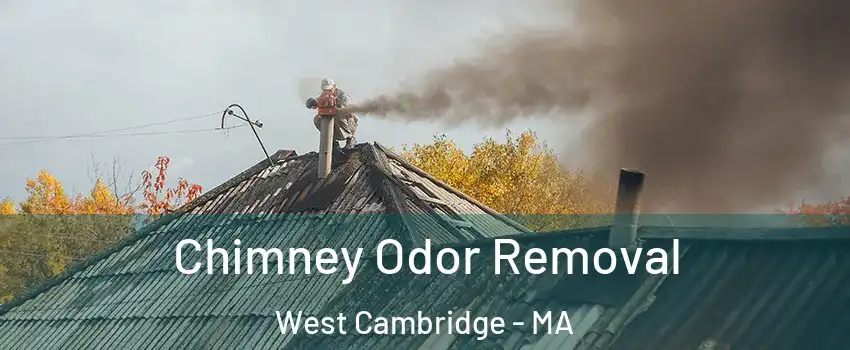 Chimney Odor Removal West Cambridge - MA