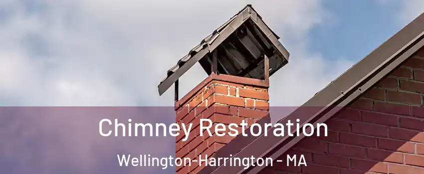 Chimney Restoration Wellington-Harrington - MA