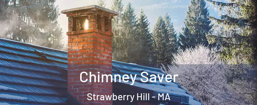 Chimney Saver Strawberry Hill - MA