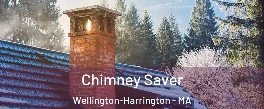 Chimney Saver Wellington-Harrington - MA