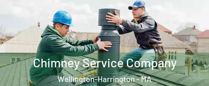 Chimney Service Company Wellington-Harrington - MA