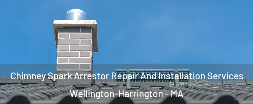 Chimney Spark Arrestor Repair And Installation Services Wellington-Harrington - MA