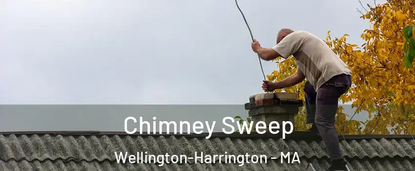 Chimney Sweep Wellington-Harrington - MA