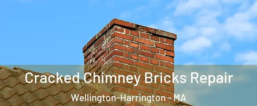 Cracked Chimney Bricks Repair Wellington-Harrington - MA