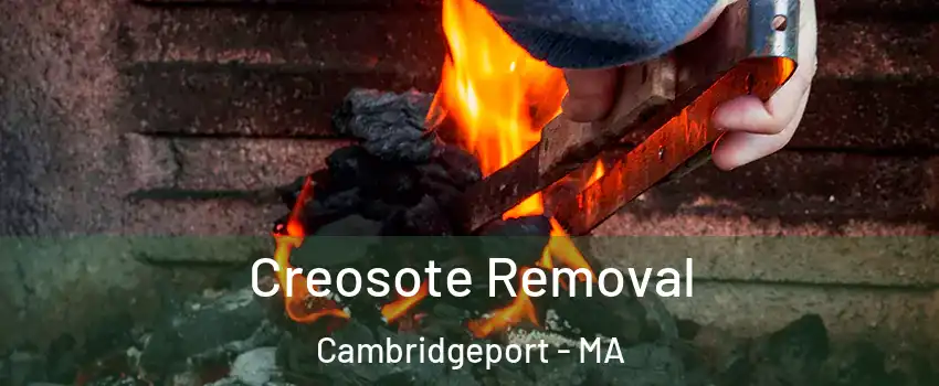 Creosote Removal Cambridgeport - MA