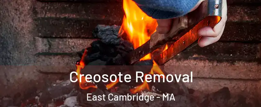 Creosote Removal East Cambridge - MA