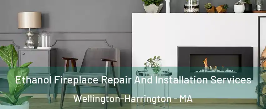 Ethanol Fireplace Repair And Installation Services Wellington-Harrington - MA