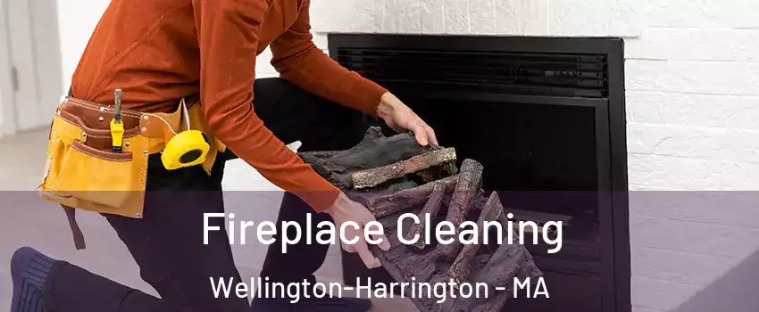 Fireplace Cleaning Wellington-Harrington - MA