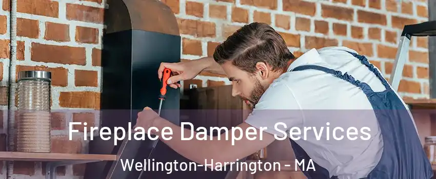 Fireplace Damper Services Wellington-Harrington - MA