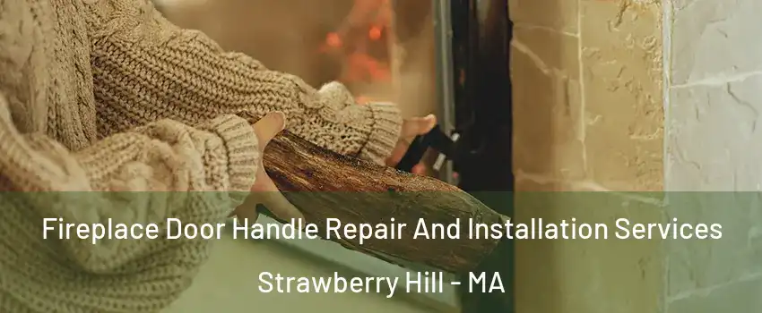 Fireplace Door Handle Repair And Installation Services Strawberry Hill - MA